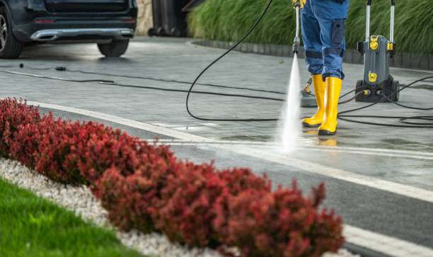 Best Driveway Pressure Washing  in Junction City, CA